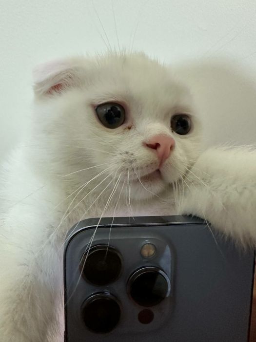 Звоните всё обсудим