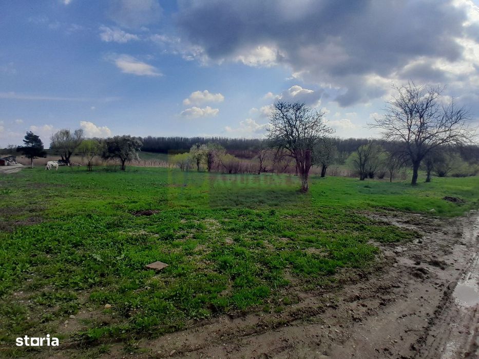 De Vanzare Teren 3400 Mp In Sat Podu Ilfovat / Com Buturugeni (Gr)
