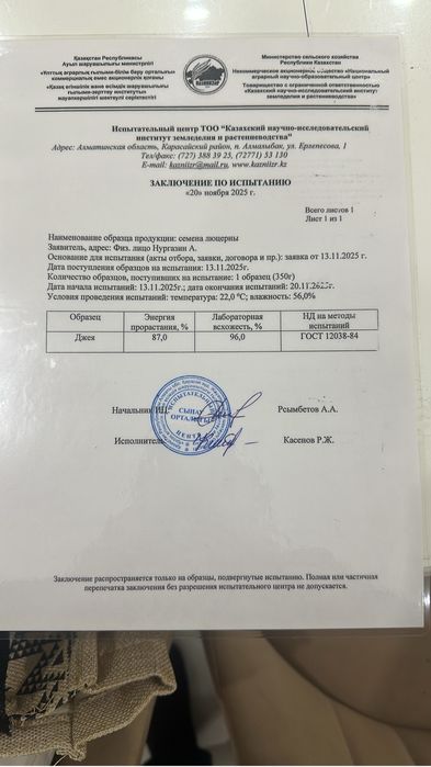 Продаем Люцерна магнитная семена Джеа.