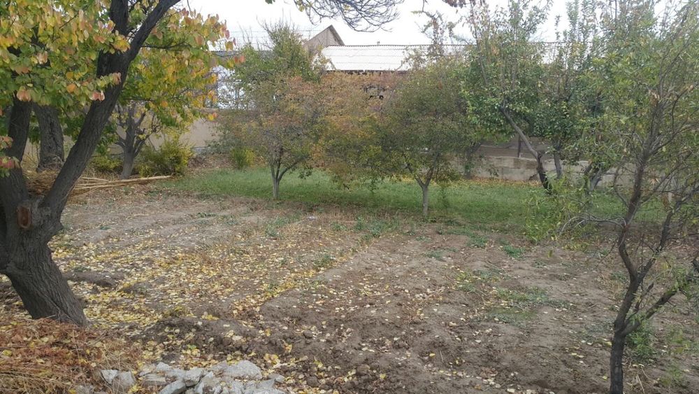 Narpay xovli sotiladi