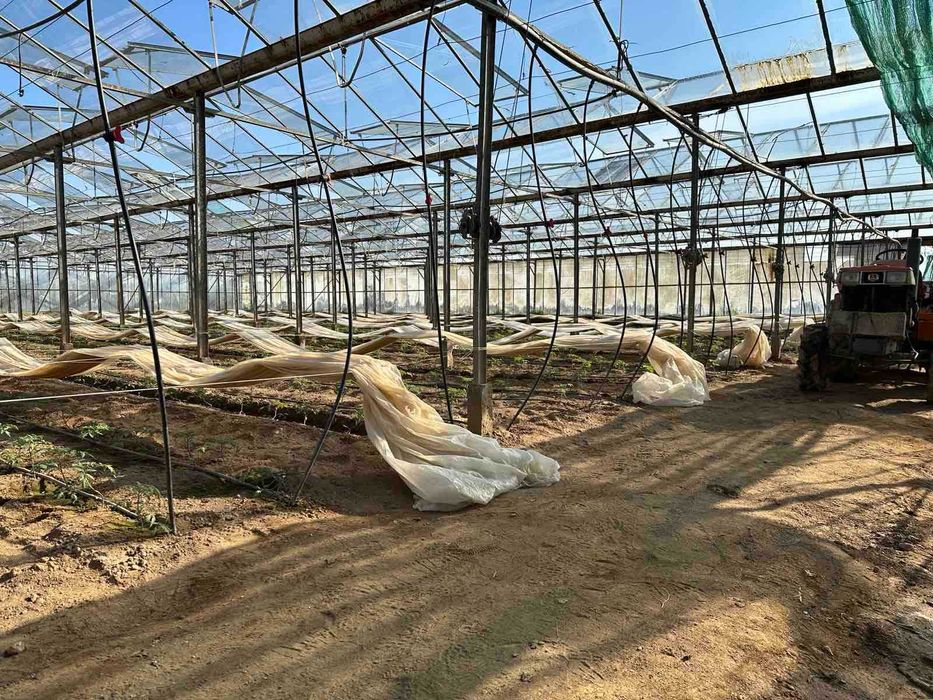 Продава се Земеделски имот в Петрич -  кв.м за 13 €/дка - Снимка #8