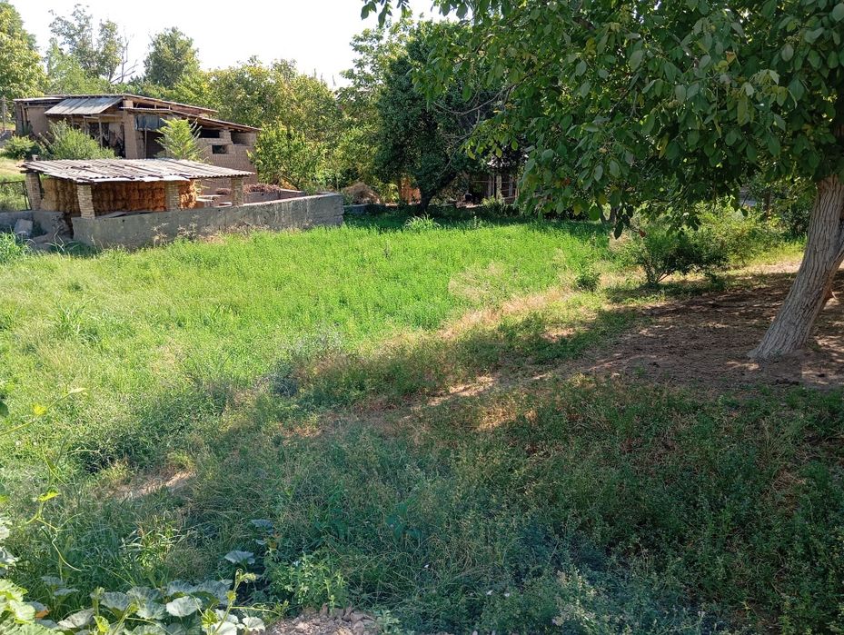 Yer srochna sotiladi 7000 dan