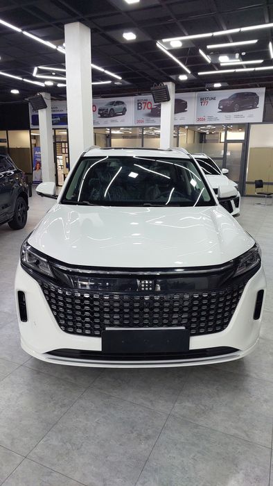 Fengon  S508 EVR