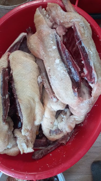 Продам копчёного гуся