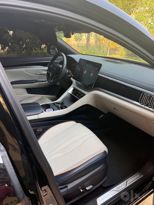 BYD chempion 2024