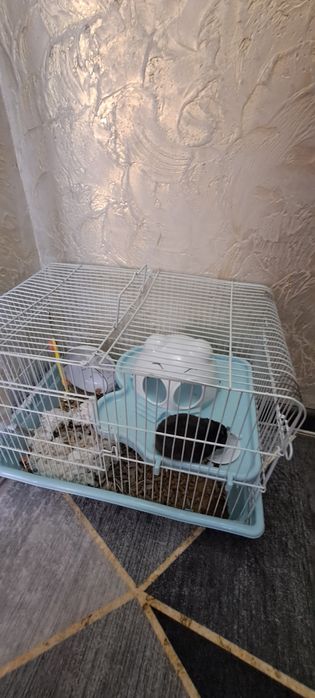 Отдам в добрые руки..