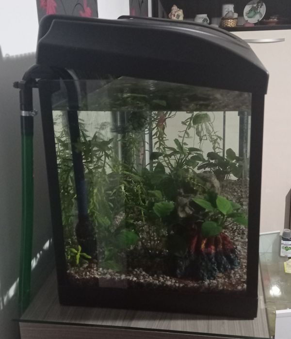 Acvariu 100litri