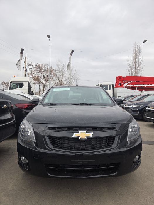 **Cobalt midnight mcm 2026