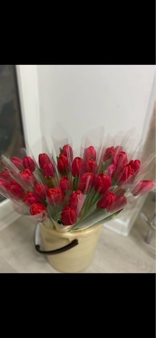 Белорусские тюльпаны Астана