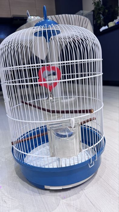 Клетка для попугаев
