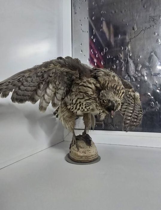 Декоративное панно Птица