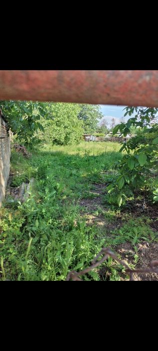 Парцел декар и половина с.Бръшлен