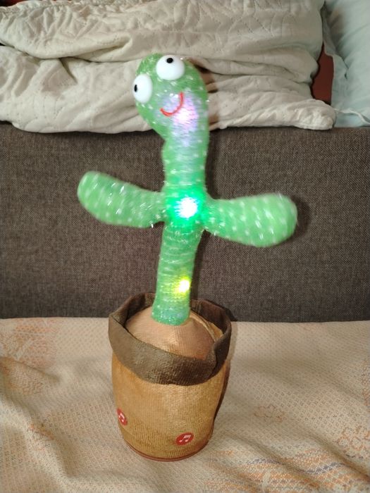 Кактус поющий. Продам.