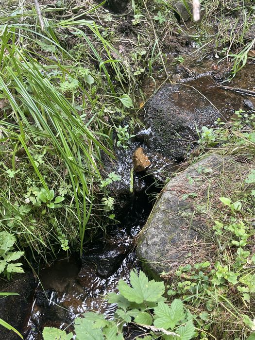 Teren extravil-intravila  2 parcele  la Vladeasa jud. Cluj,sat Visagu.