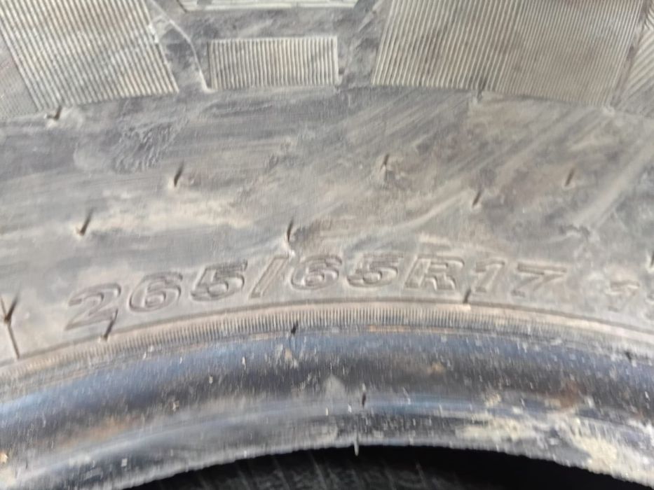 качественные автошины