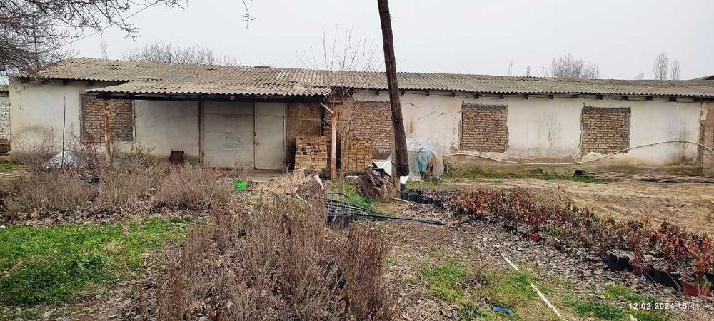 81 сотик ер сотилади