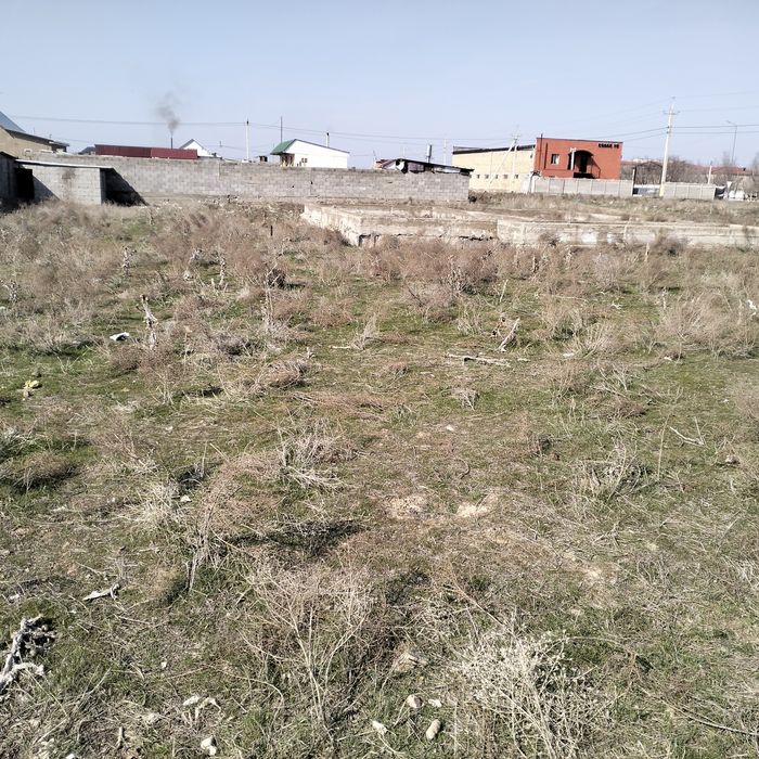 Жер сатылады Толе би