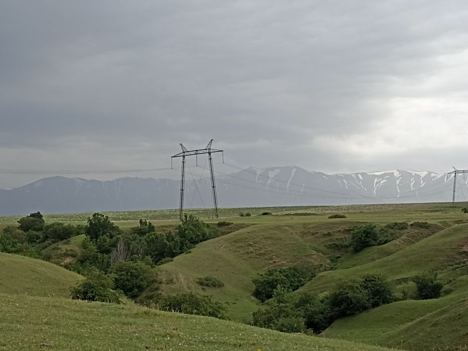 Мёд горный натуральный