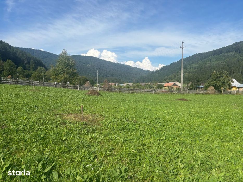 Teren Grințieș/Neamț