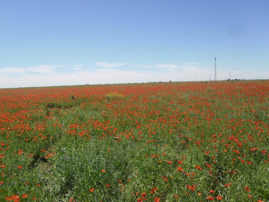 Продам участок..