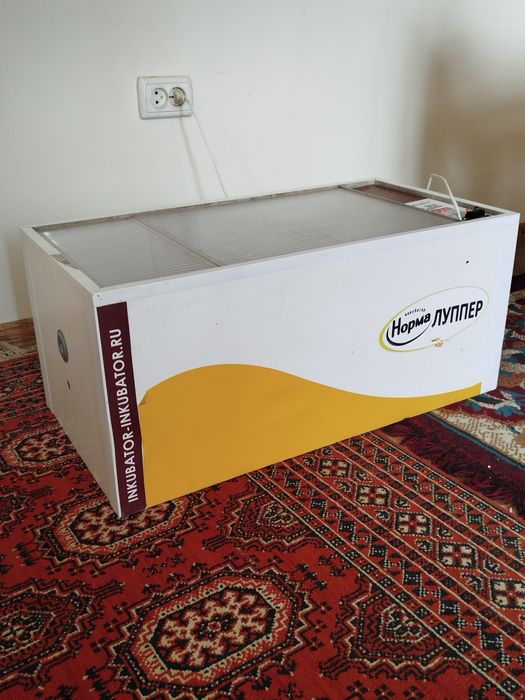 Инкубатор блиц норма луппер c10