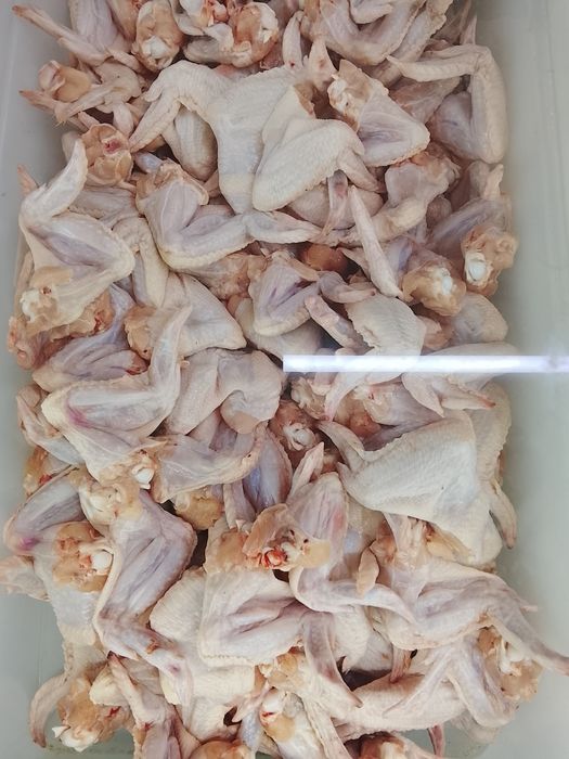 Окорчка филе крыло