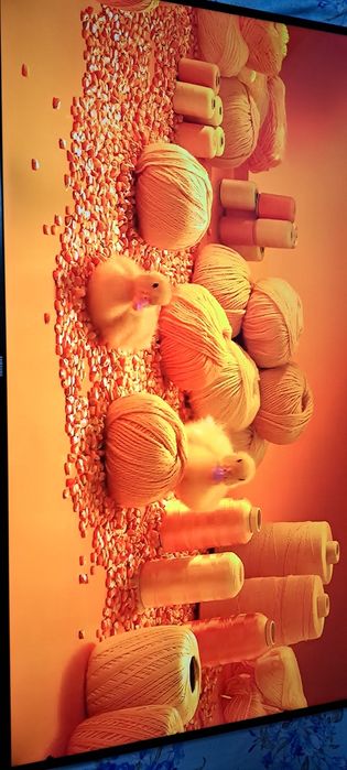 Vand Tv Samsung 55inch