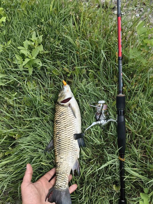 Въдица Dragon Finesse jig 12 s802xf