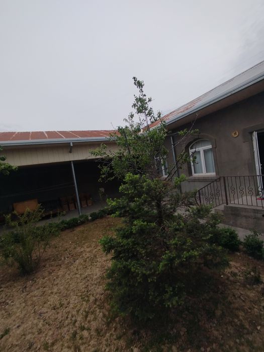 Тошкент тумани, Парвозда шинам 5.5 сотихли ҳовли сотилади!