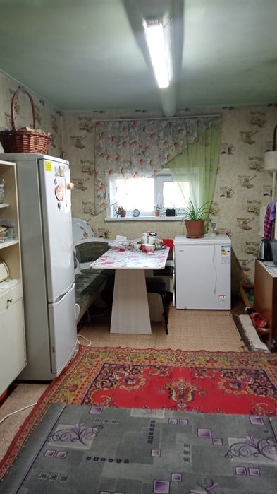 Продам дом село Нечаевка