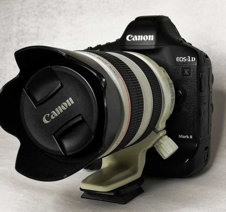 Canon 1dx MarkII + 70-300L
