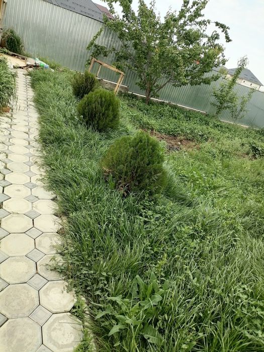 дом 110кв Каскелен ул Бұлақты 29