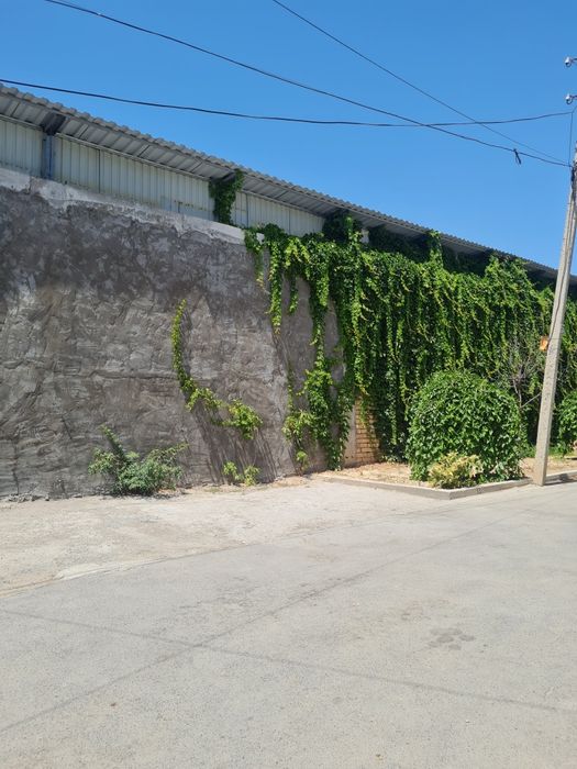 Кичик бешагач (Ивлива)3.5 сот 2 дома.)