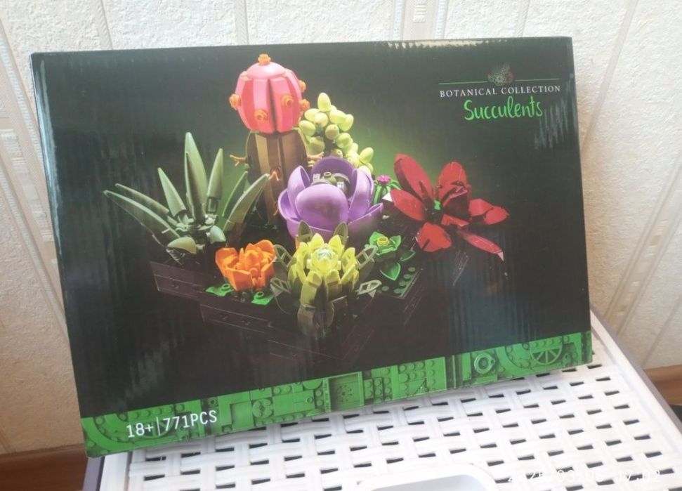 Конструктор суккуленты