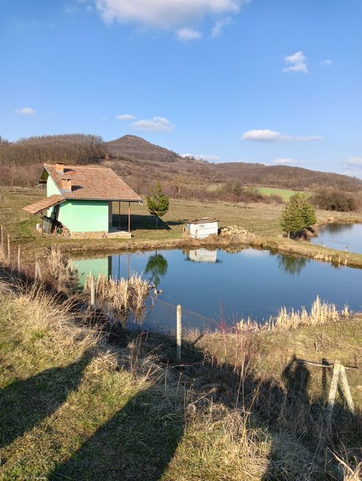 Рибарник с овощна  градина