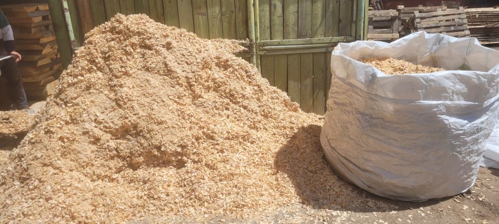 Vand rumegus verde si talaj lemn fag si molid