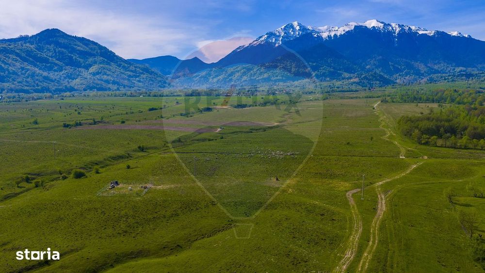 Teren 1ha, extravilan Rasnov / Agricultură sau fermă/ COMISION 0%