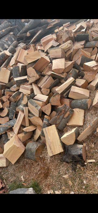 Vand lemne de foc fag si Stejar