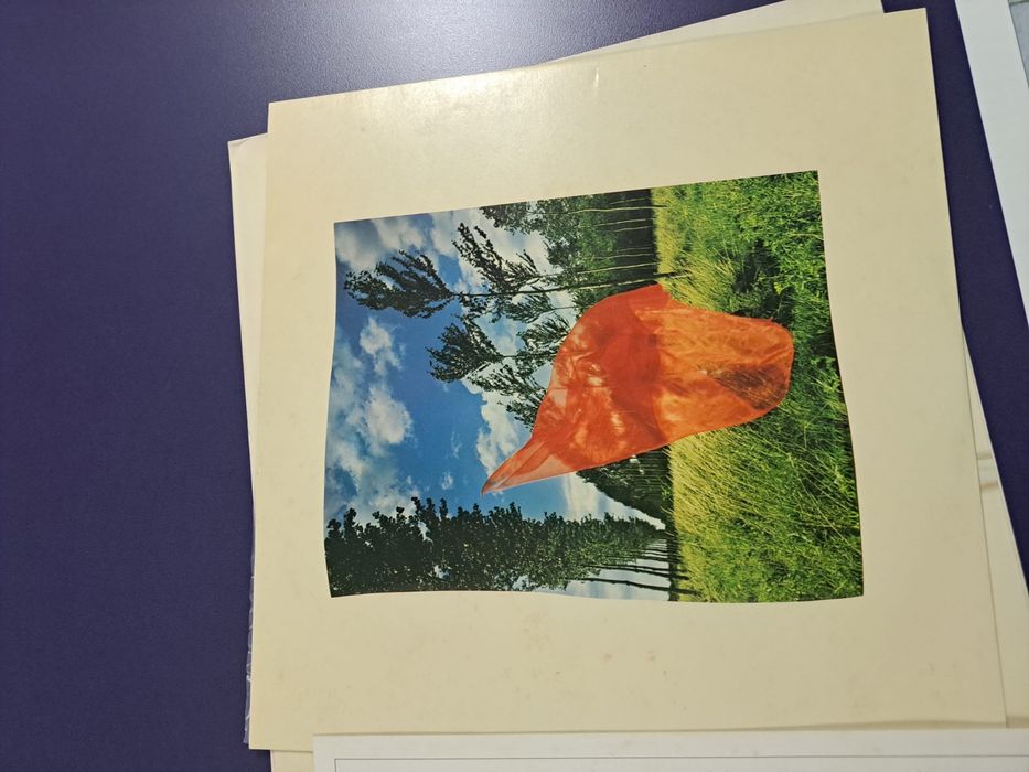 Vinil vintage Pink Floyd