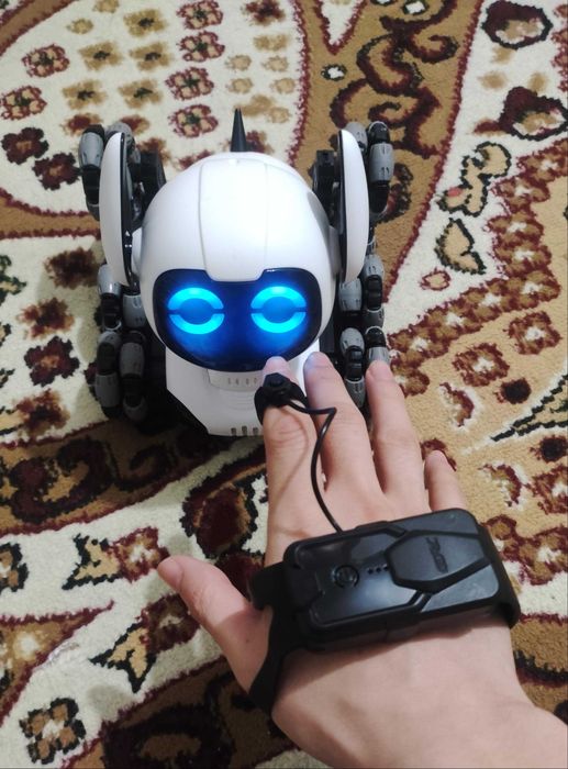 Игрушка , Игрушки