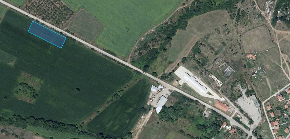 Нива до с. Белопопци