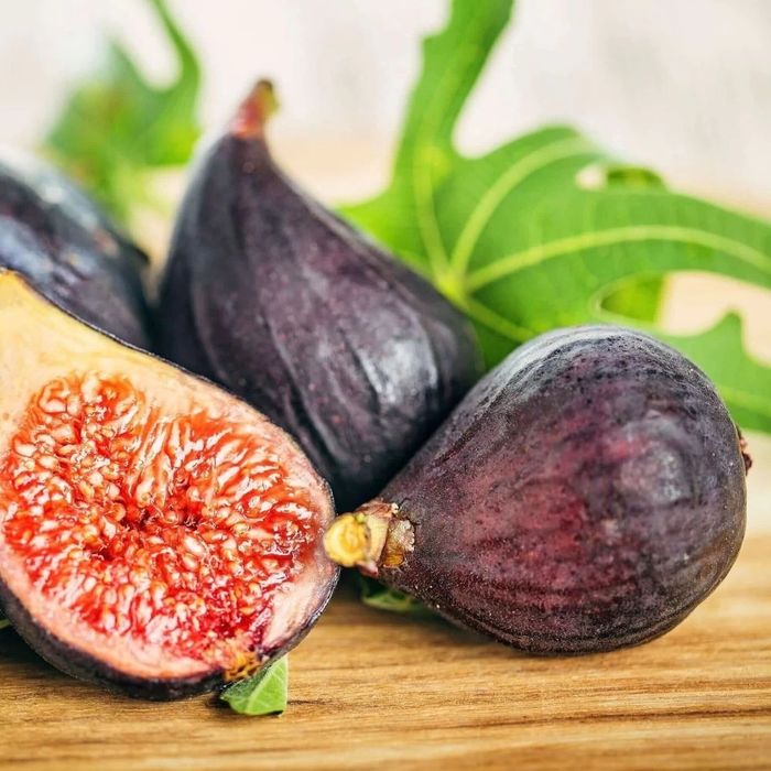 Smochin little miss figgy