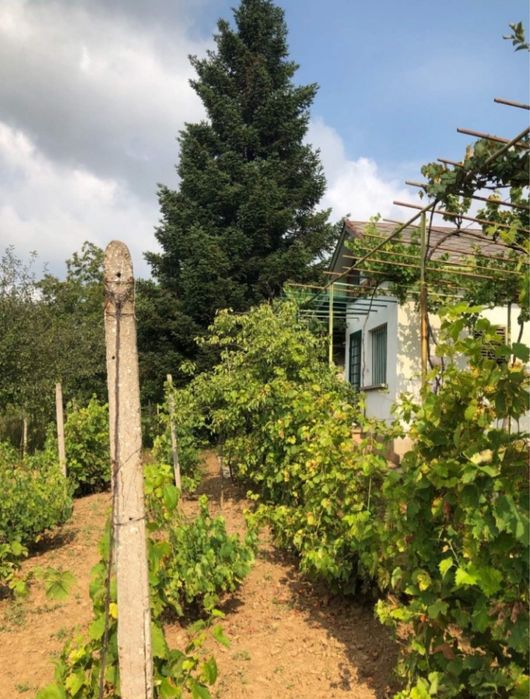 Продава се Къща в Плевен, Индустриална зона - Запад - 20 кв.м за 600 €/кв.м - Снимка #15