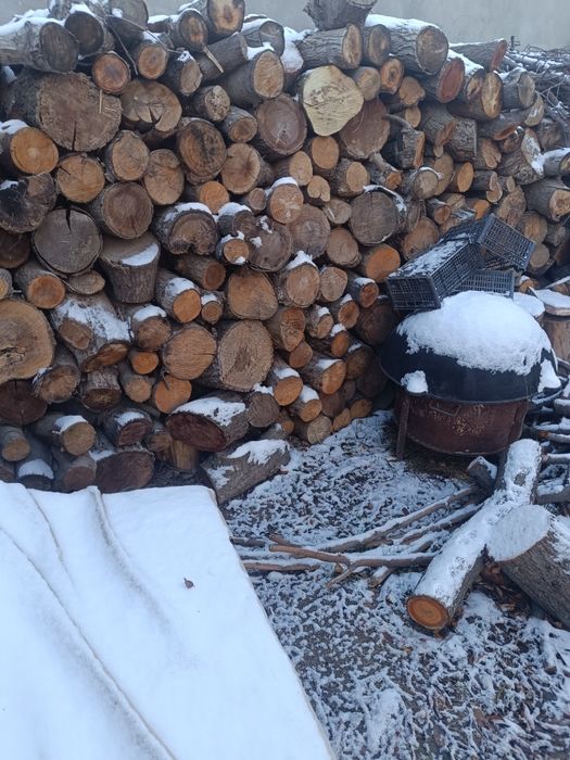 O'tin mevali daraxtniki  Qopda