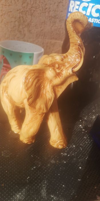 Elefanți răsina, frumoși