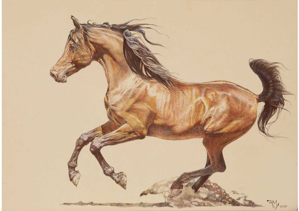 Страхотни картини на коне ,нарисувани с химикал