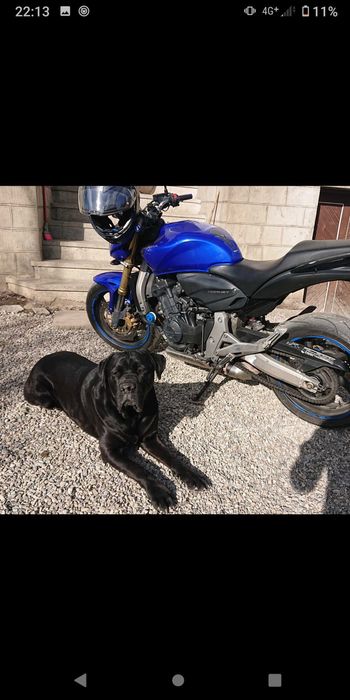 Honda CB600F Hornet Pc41