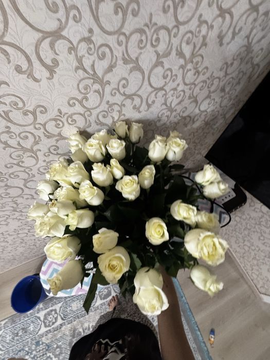 Белые розы , свежые . Шымкент!