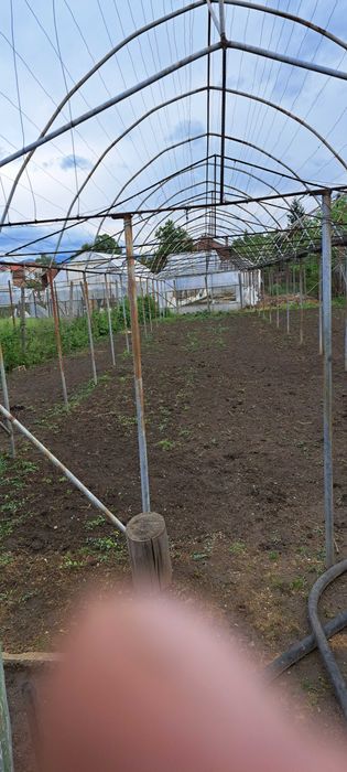 Оранжерия 240кв.м