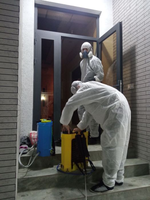 Dezinfeksiya дезинфекция 24/7 dizinfeksiya клапа таракан klapa tarakan